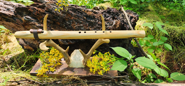 Frequencies of the Forest Yellow Pine Flutes – Echoes of the Sun & Soil