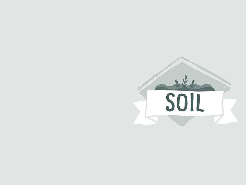 Growing Consciousness: Seeding The Soul