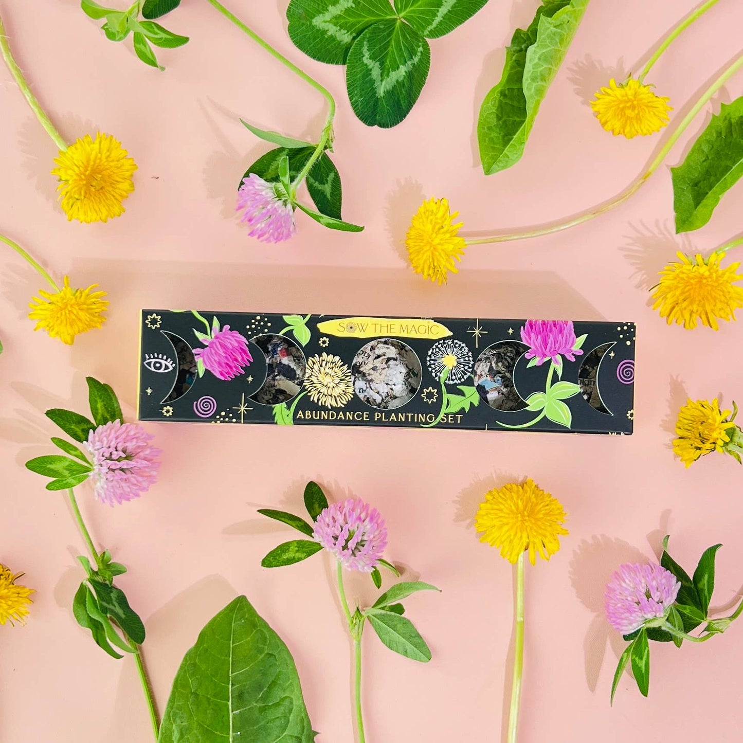 Moon Phase Abundance Seed Ball Planting Set