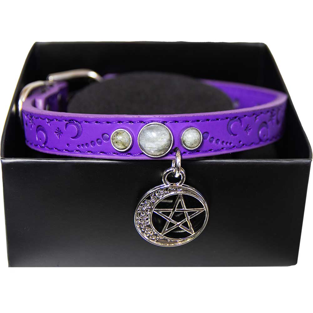 Moonlit Protection: Vegan Leather Pet Collar Medium