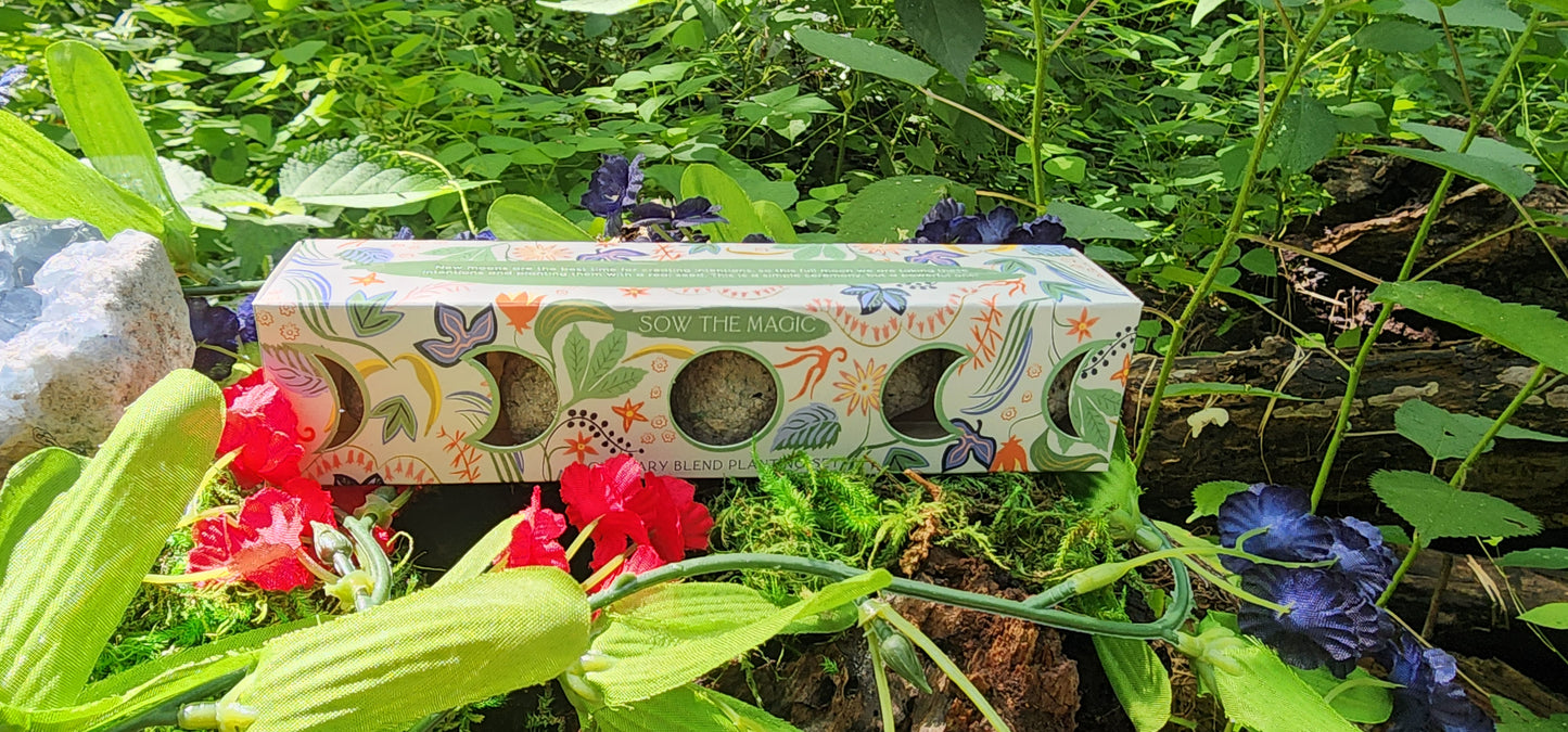 Moon Phase Culinary Seed Ball Planting Set