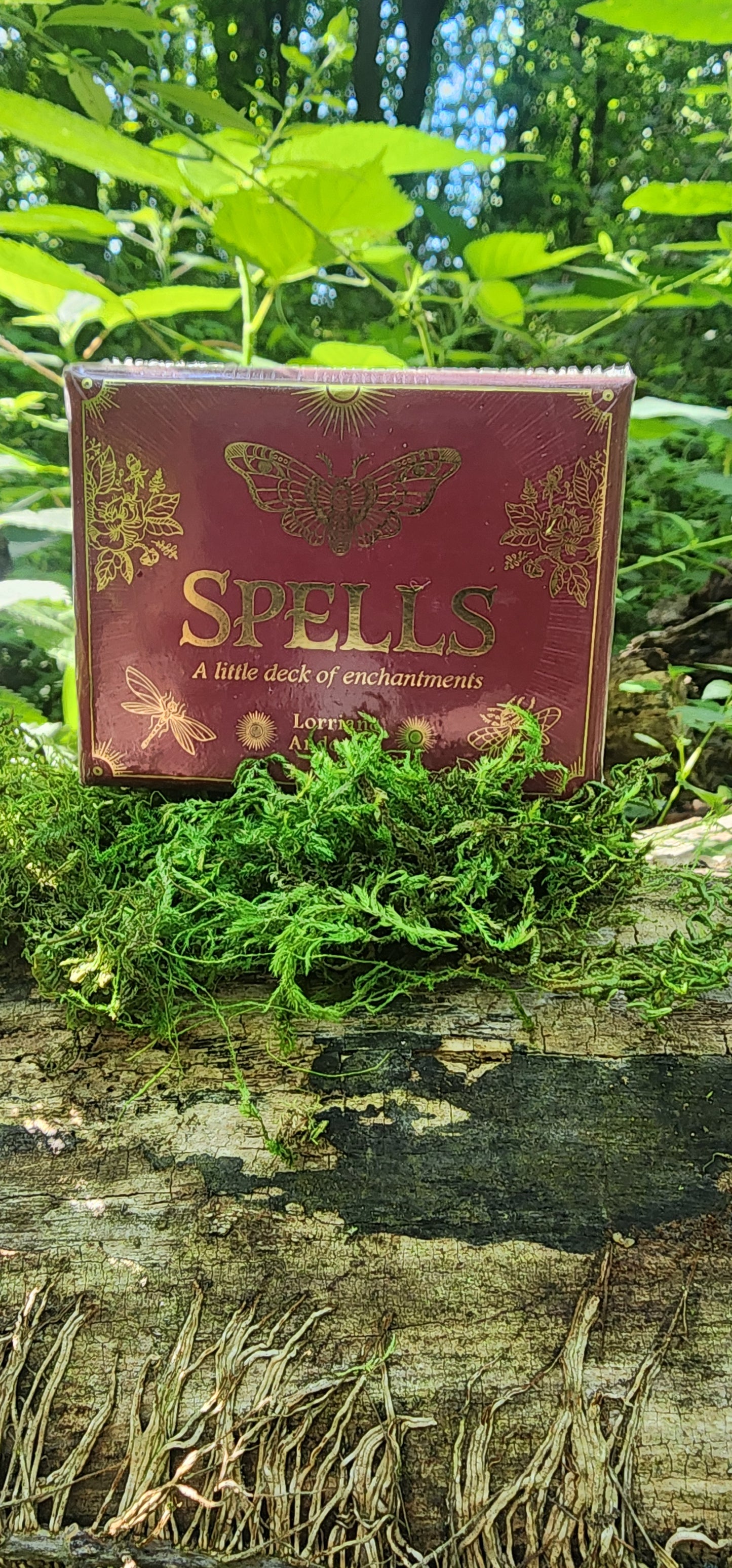 Spells by Lorriane Anderson