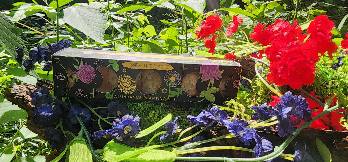 Moon Phase Abundance Seed Ball Planting Set