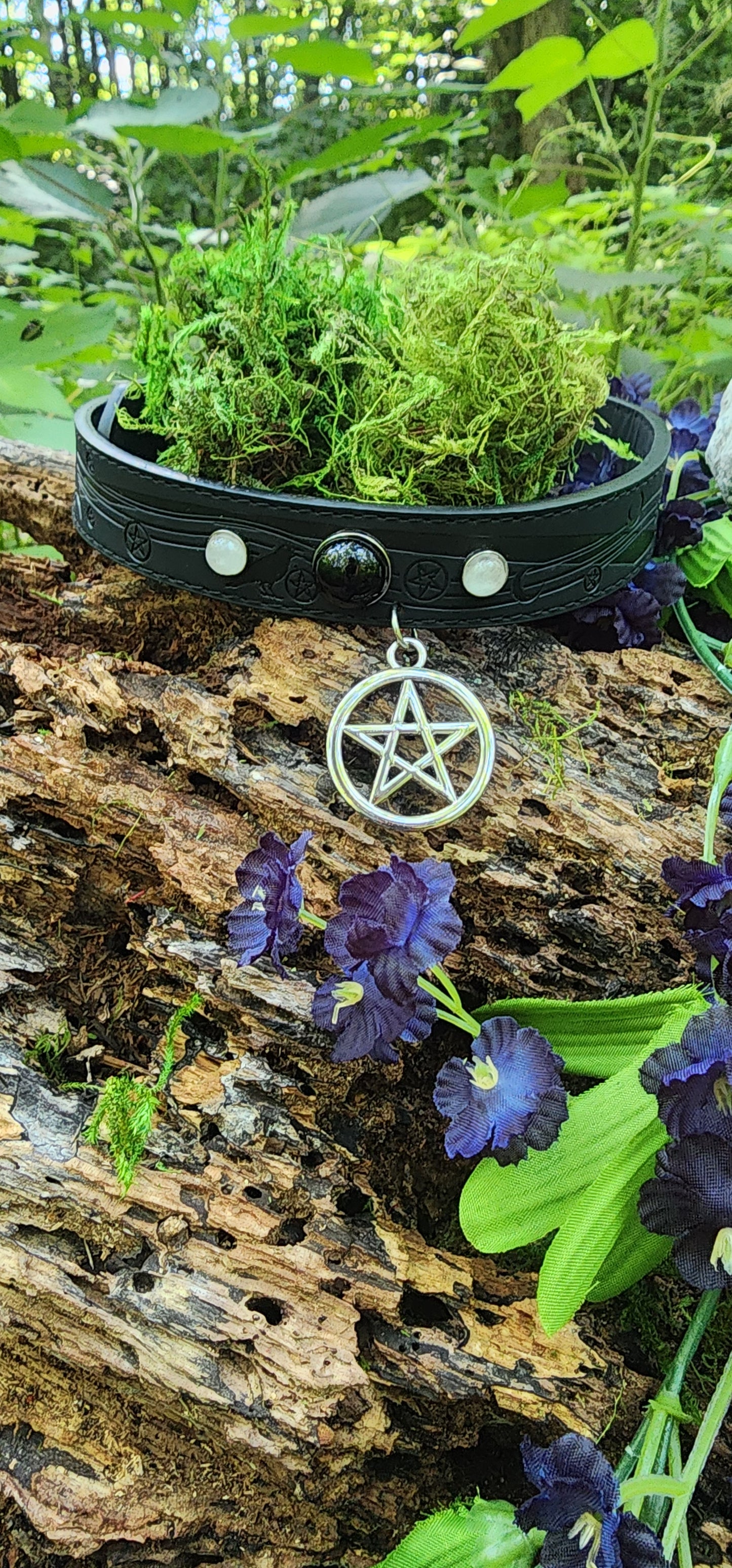 Mystical Protection: Large Vegan Leather Pet Collar