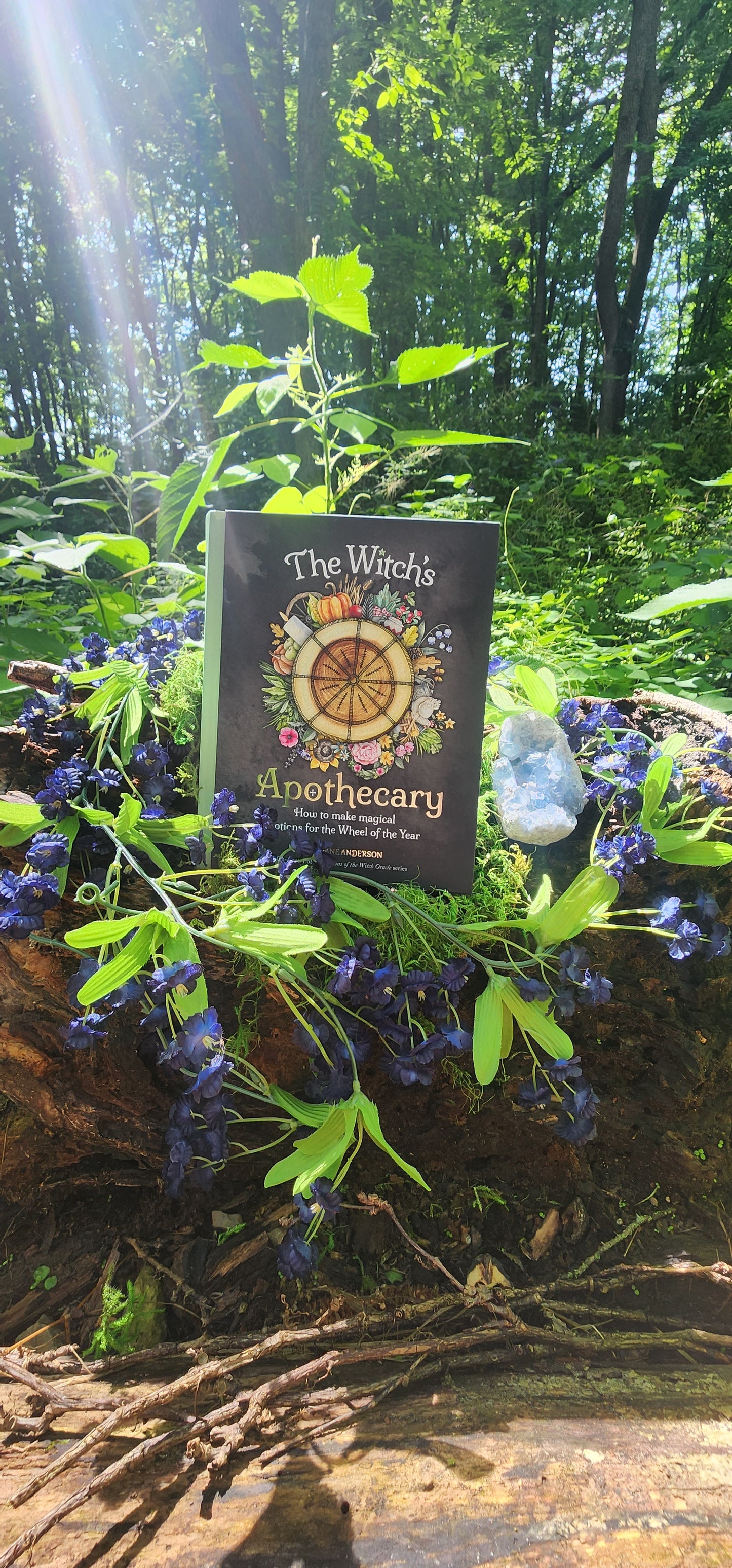 Witch's Apothecary: Seasons of the Witch by Lorriane Anderson