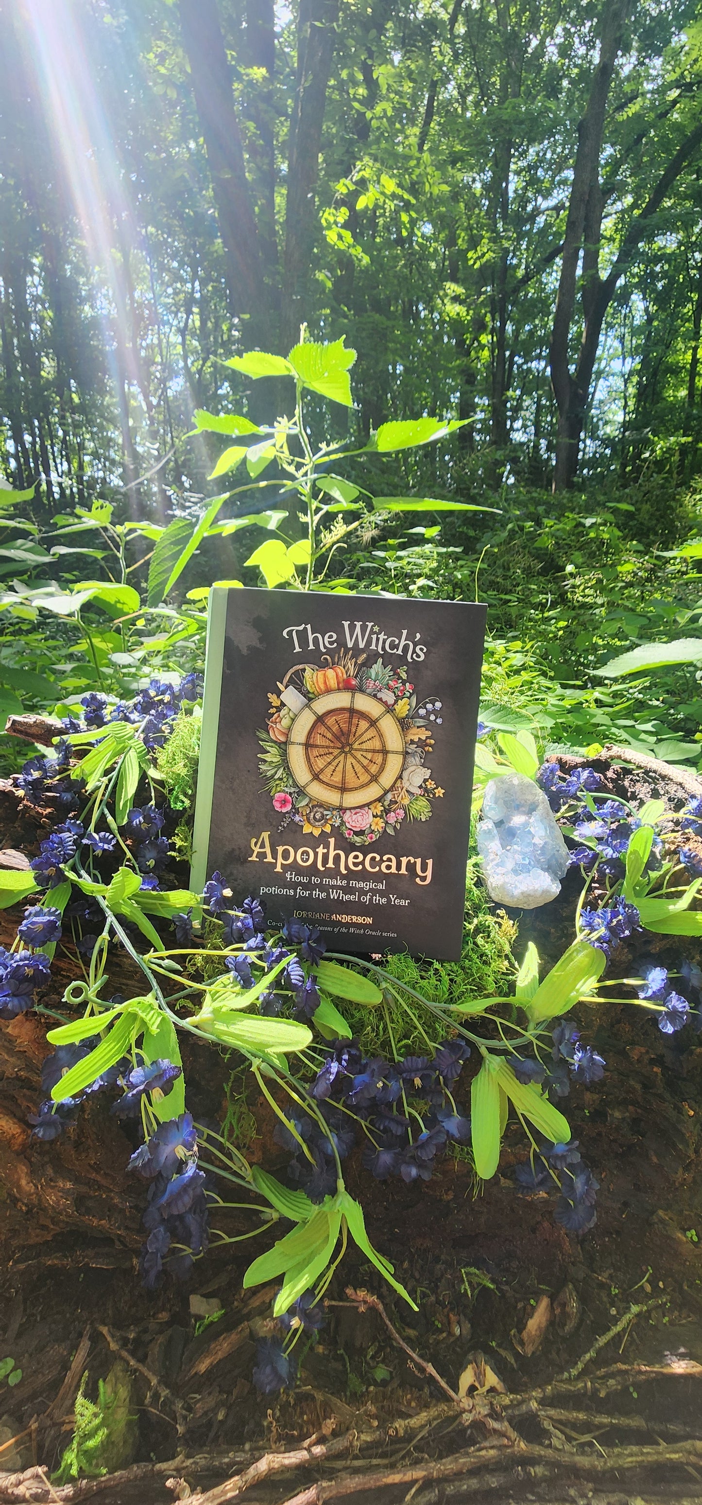 Witch's Apothecary: Seasons of the Witch by Lorriane Anderson