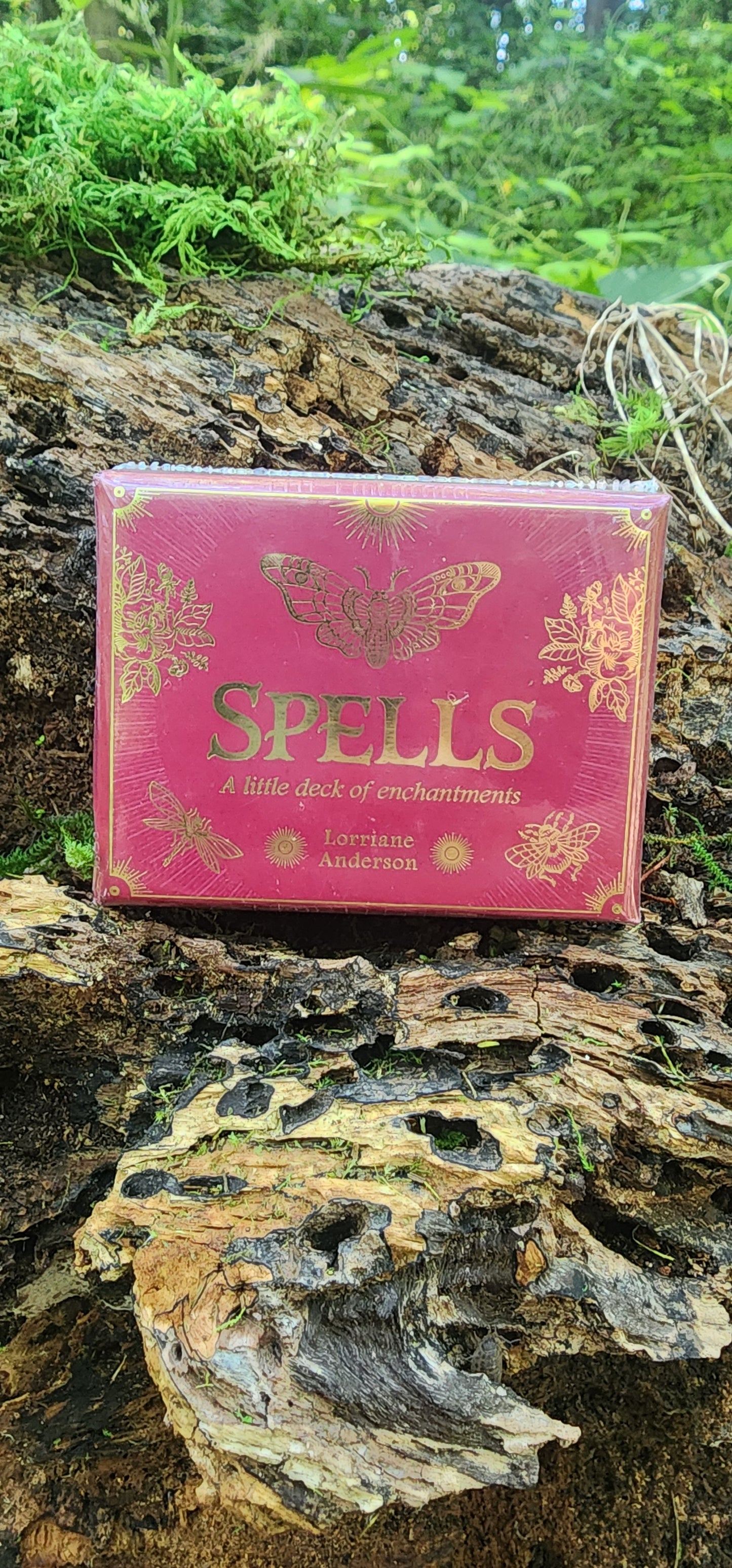 Spells by Lorriane Anderson