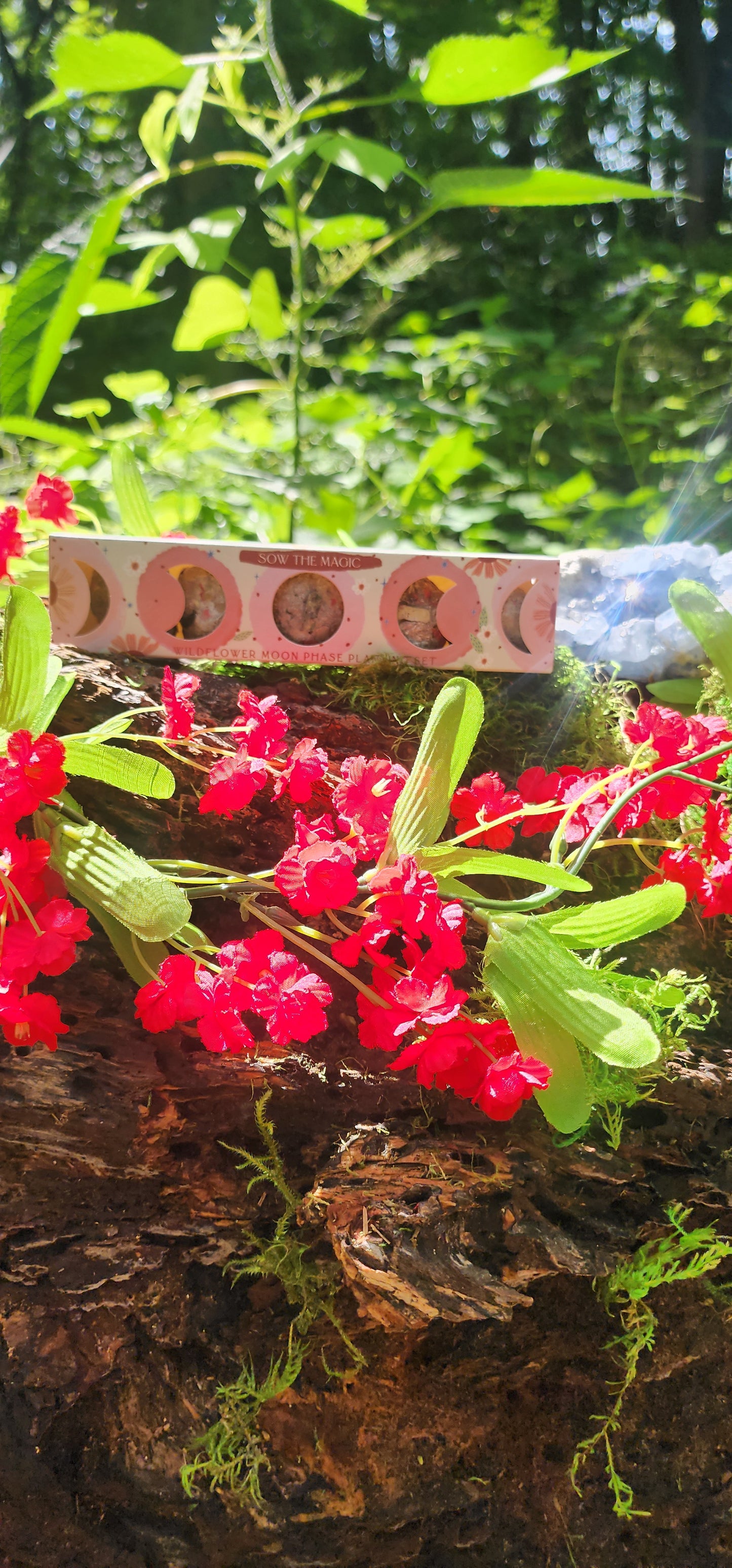 Moon Phase Wildflower Seed Planting Set