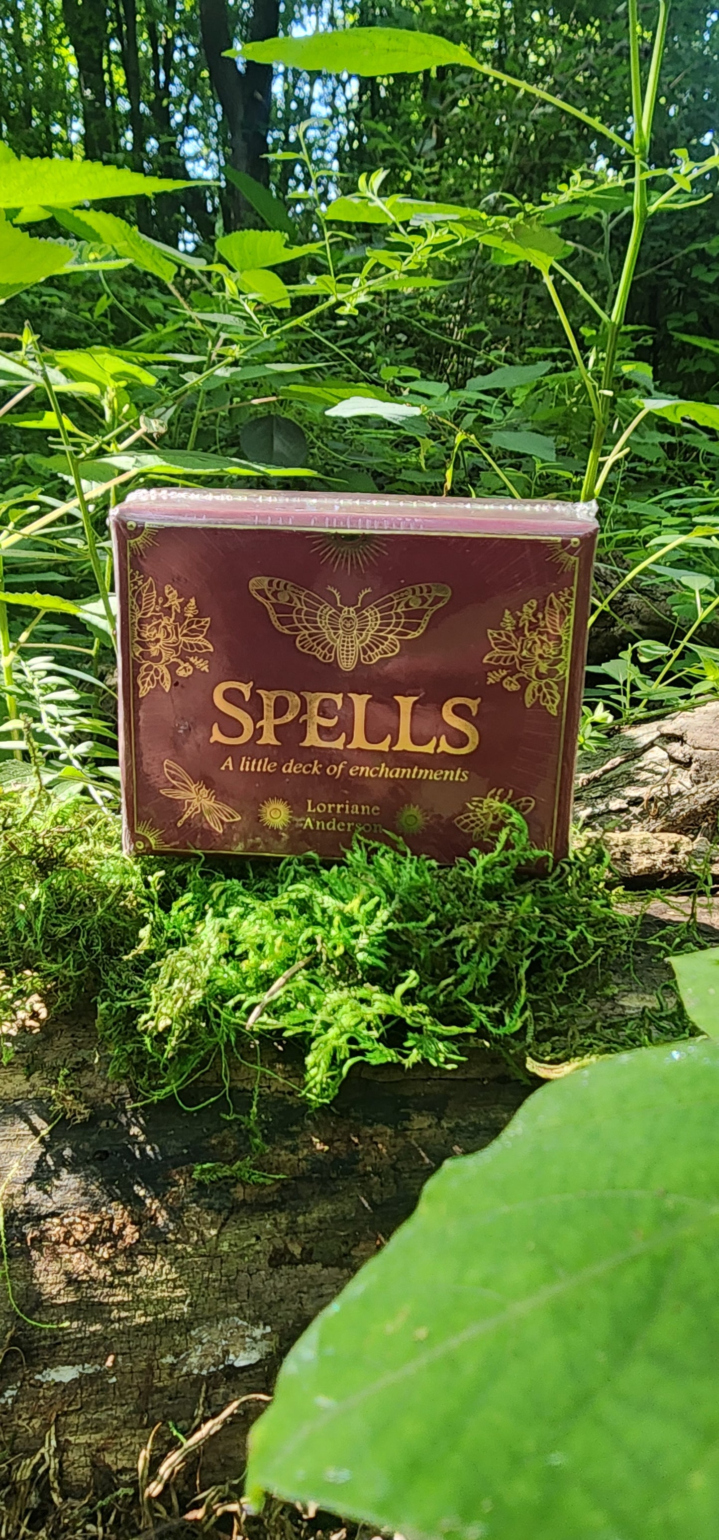 Spells by Lorriane Anderson
