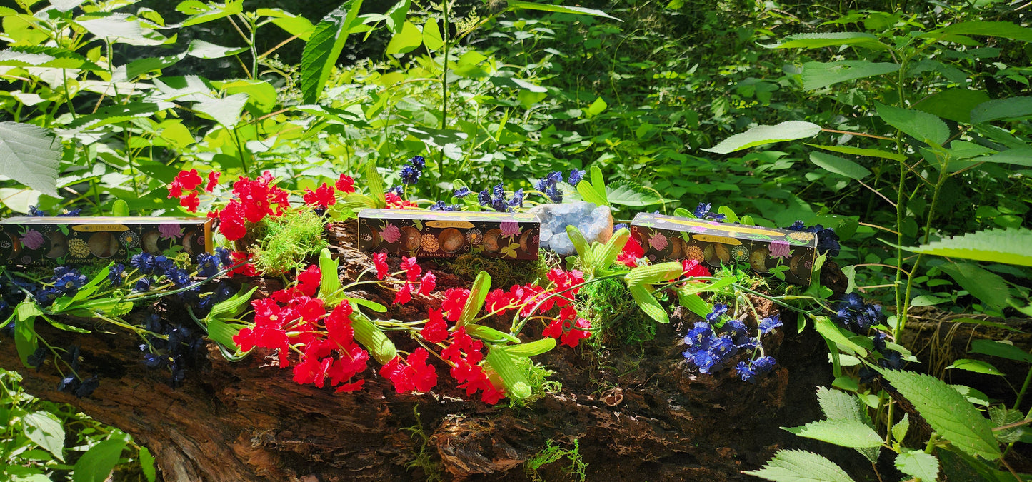 Moon Phase Abundance Seed Ball Planting Set