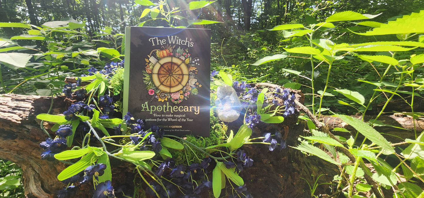 Witch's Apothecary: Seasons of the Witch by Lorriane Anderson