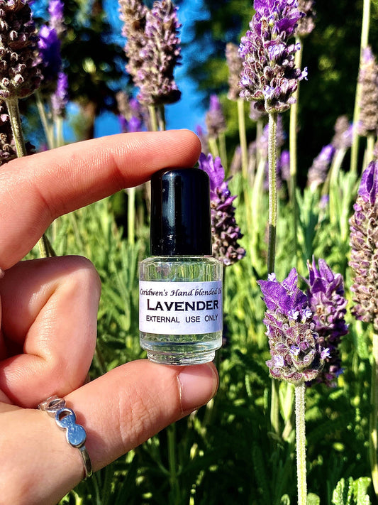 Lavender Oil - love, protection, sleep, purification