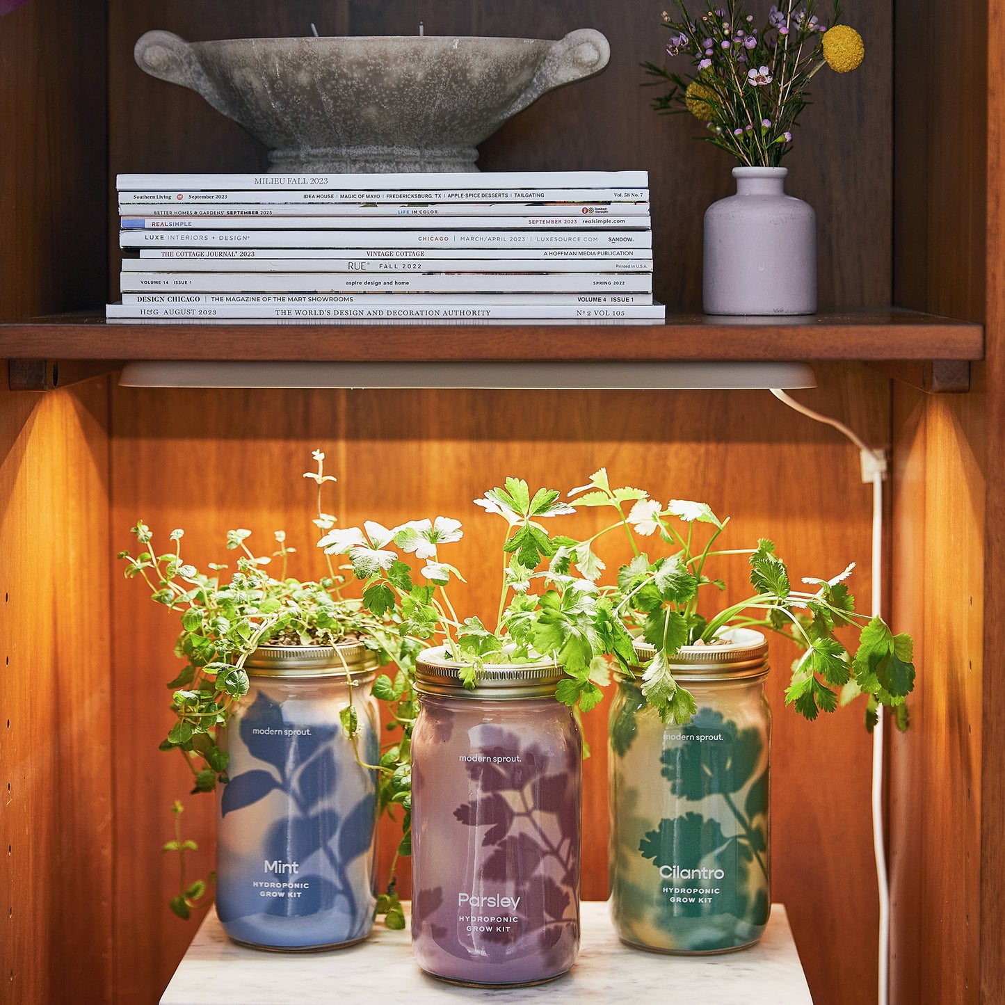 Herb Garden Jar