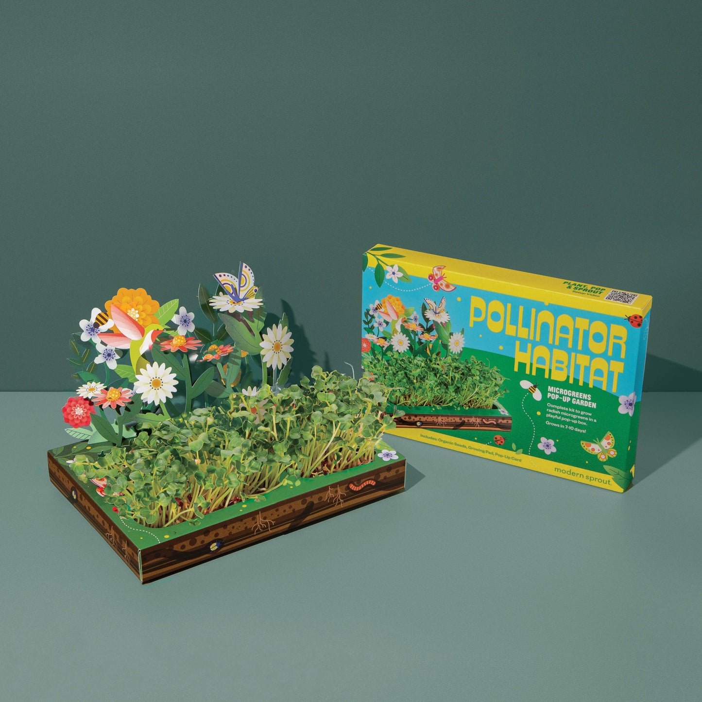 Microgreens DIY Kit