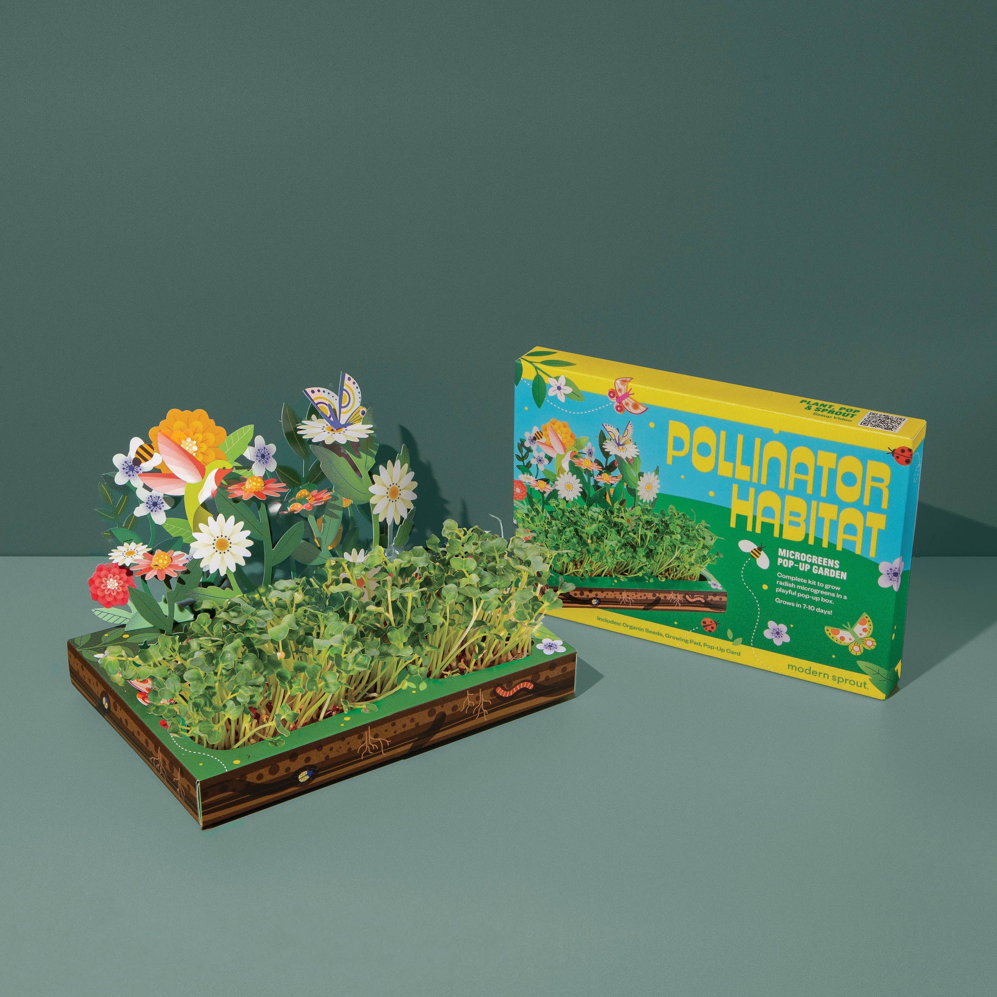 Microgreens DIY Kit