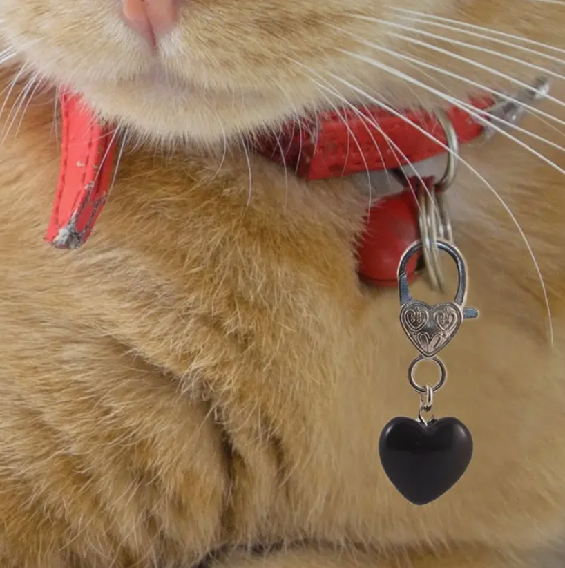 Black Obsidian Crystal Pet Pendant - Protection Collar Charm