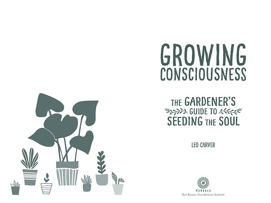 Growing Consciousness: Seeding The Soul