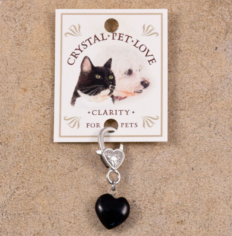 Black Obsidian Crystal Pet Pendant - Protection Collar Charm