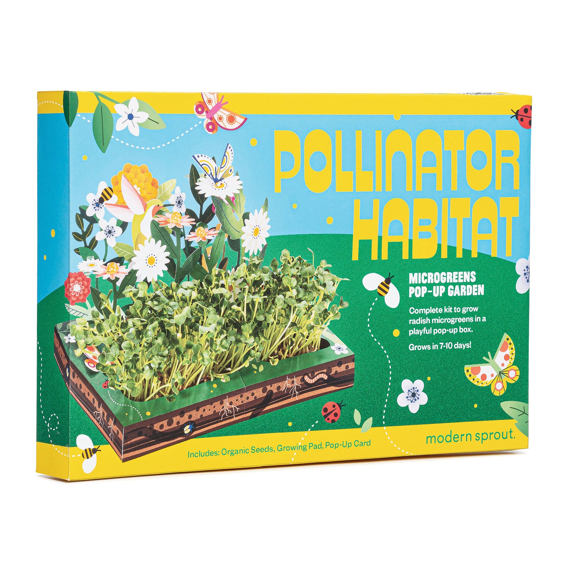 Microgreens DIY Kit