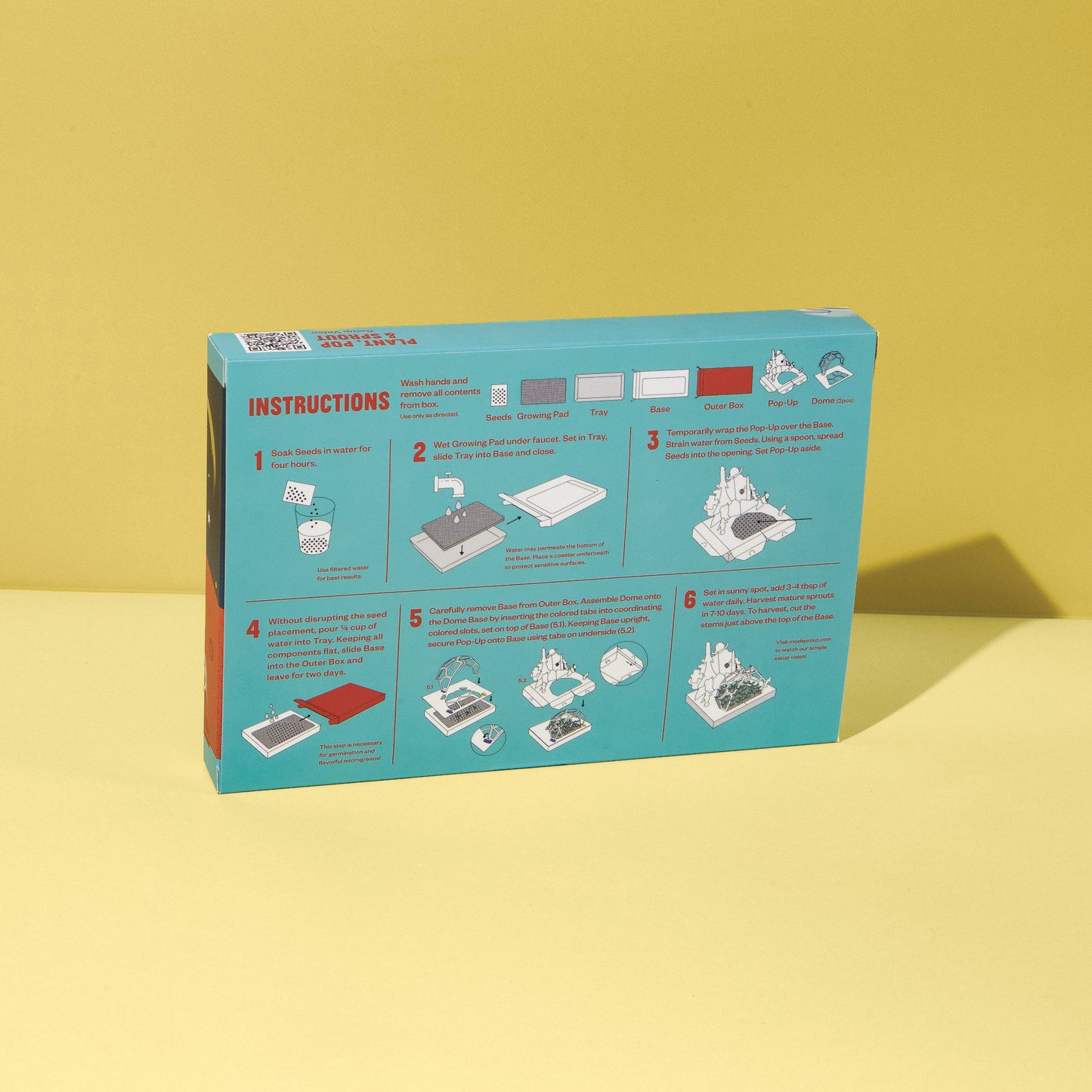 Microgreens DIY Kit
