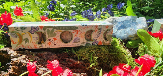 Moon Phase Culinary Seed Ball Planting Set