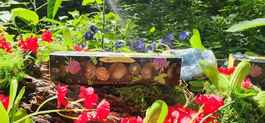 Moon Phase Abundance Seed Ball Planting Set