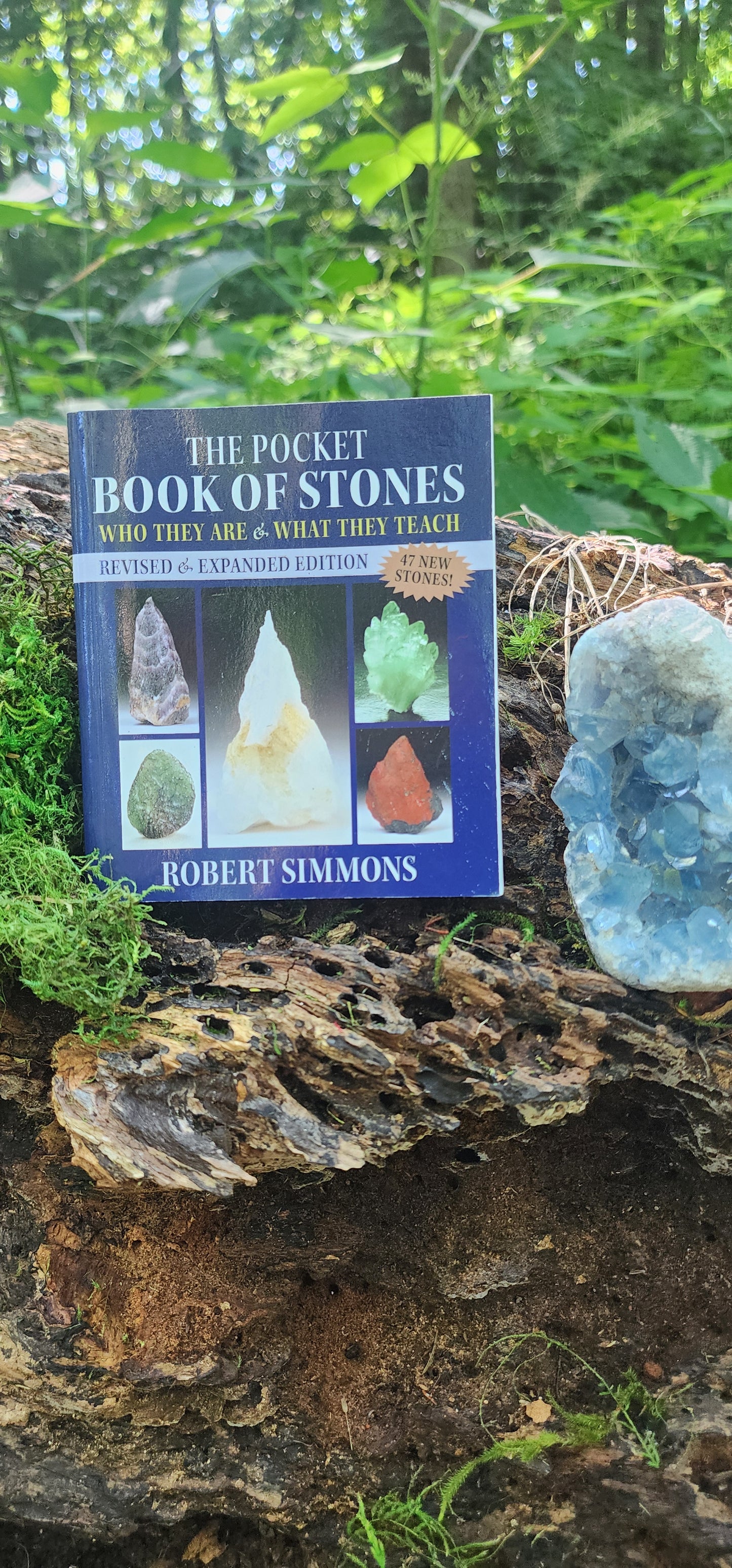 Pocket Book of Stones by Robert Simmons