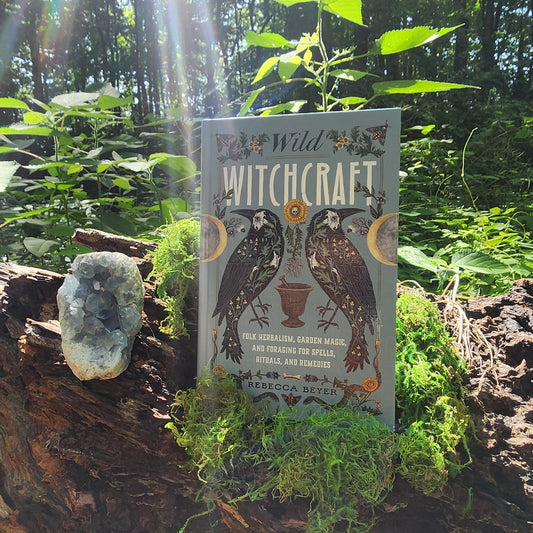 Wild Witchcraft by Rebecca Beyer