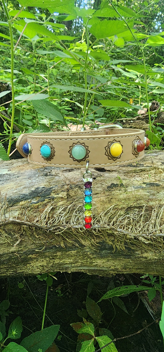 7 Chakras Pet Collar: Balance & Protection for Your Furry Companion Large
