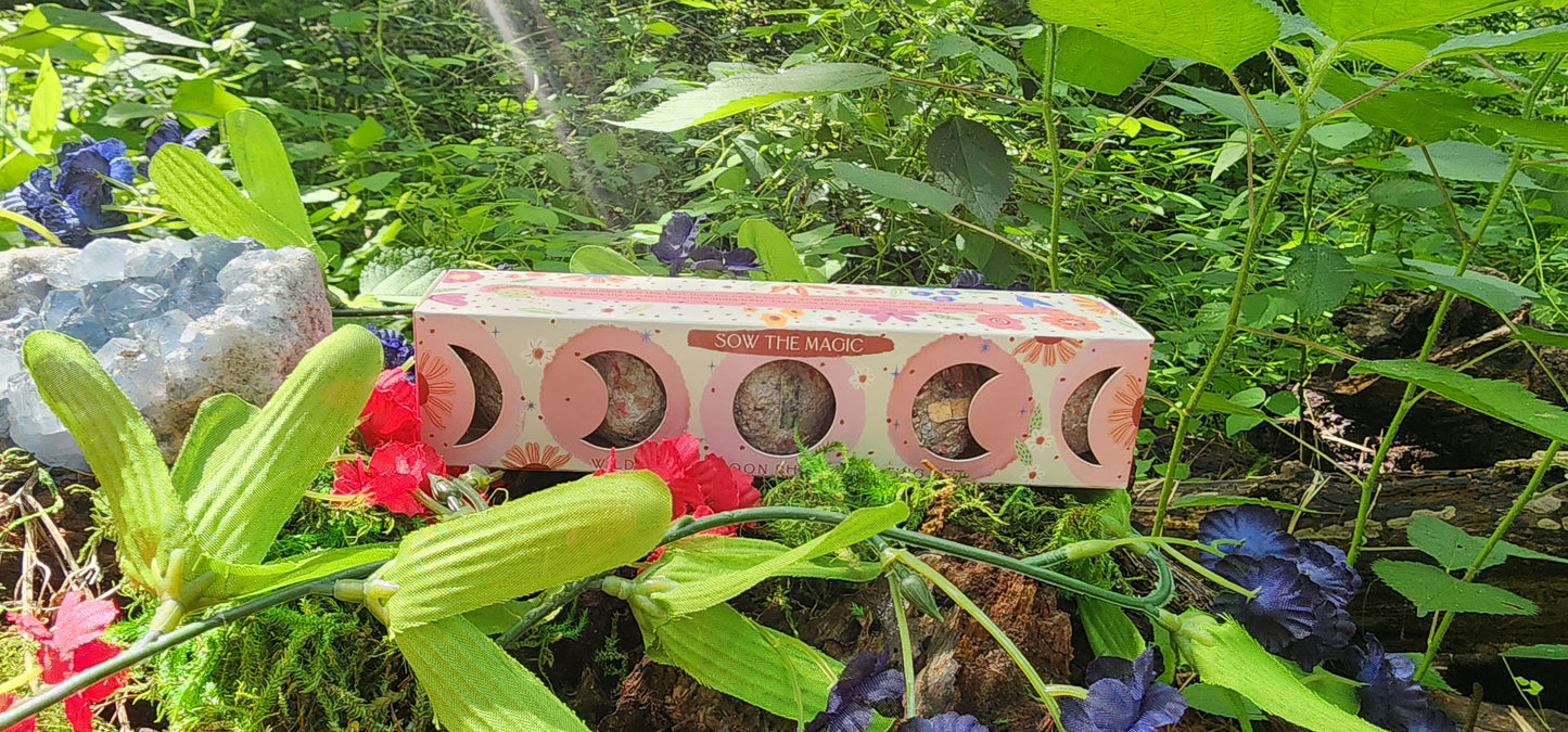 Moon Phase Wildflower Seed Planting Set