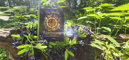 Witch's Apothecary: Seasons of the Witch by Lorriane Anderson